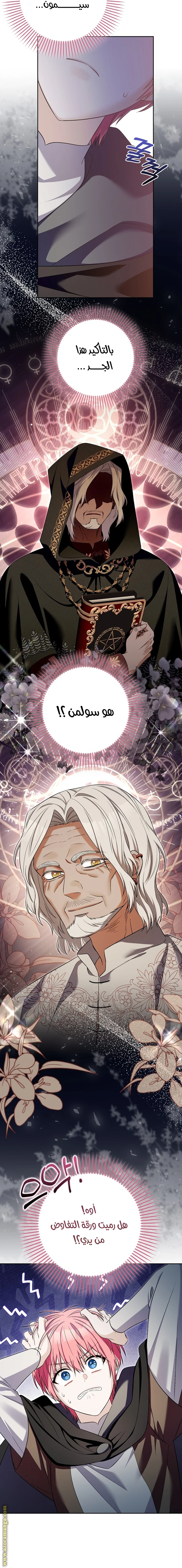 الصفحة 13