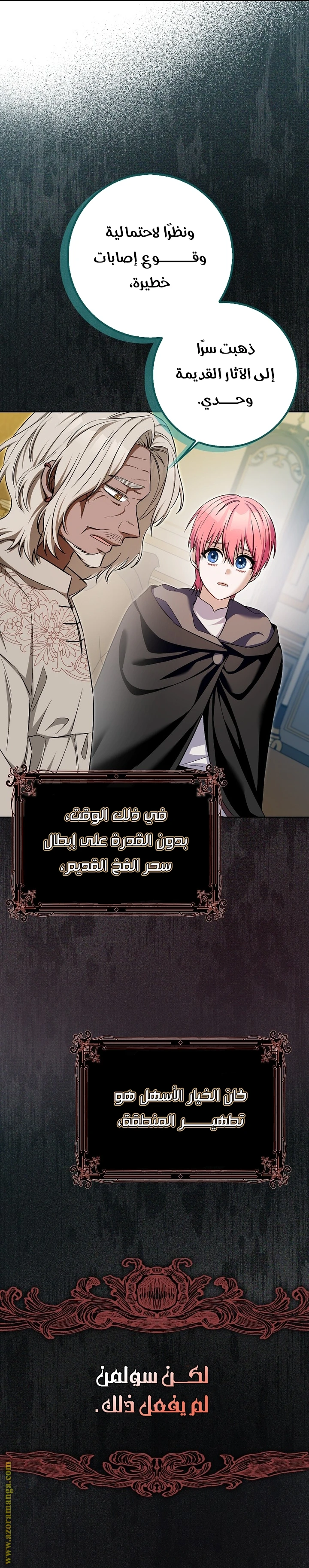 الصفحة 17