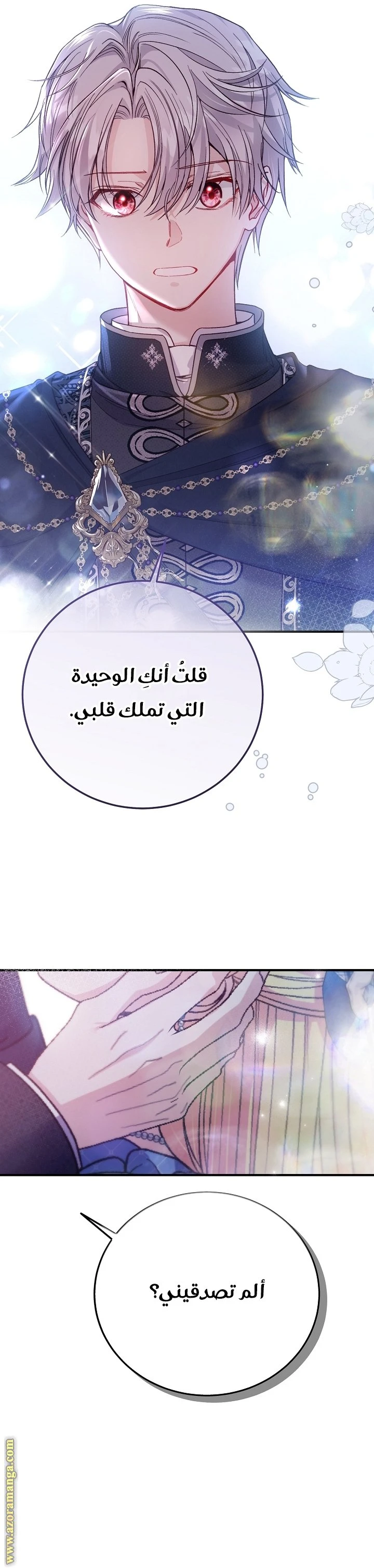 الصفحة 17
