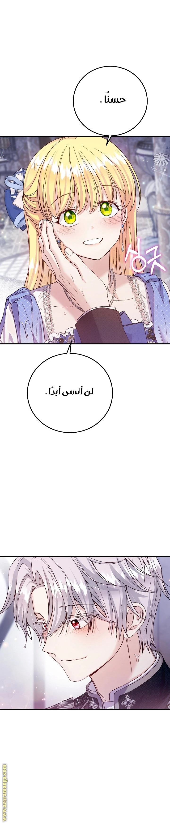 الصفحة 27