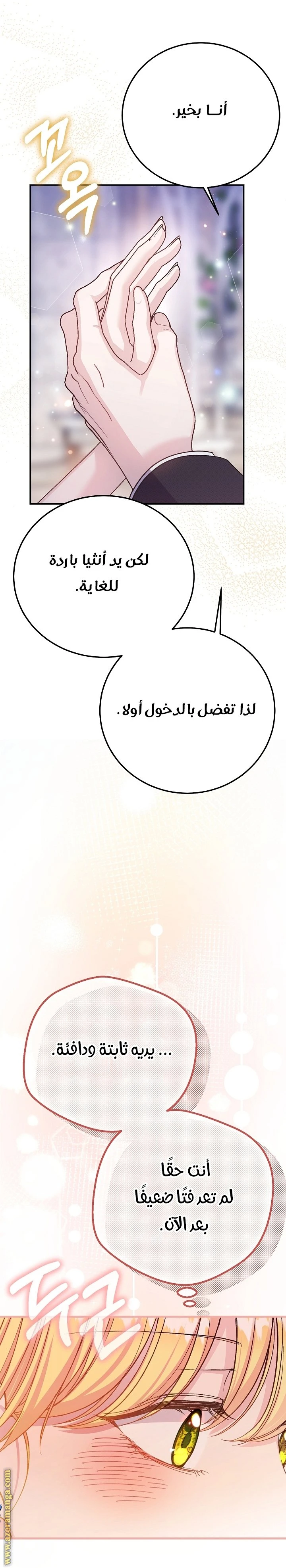 الصفحة 29