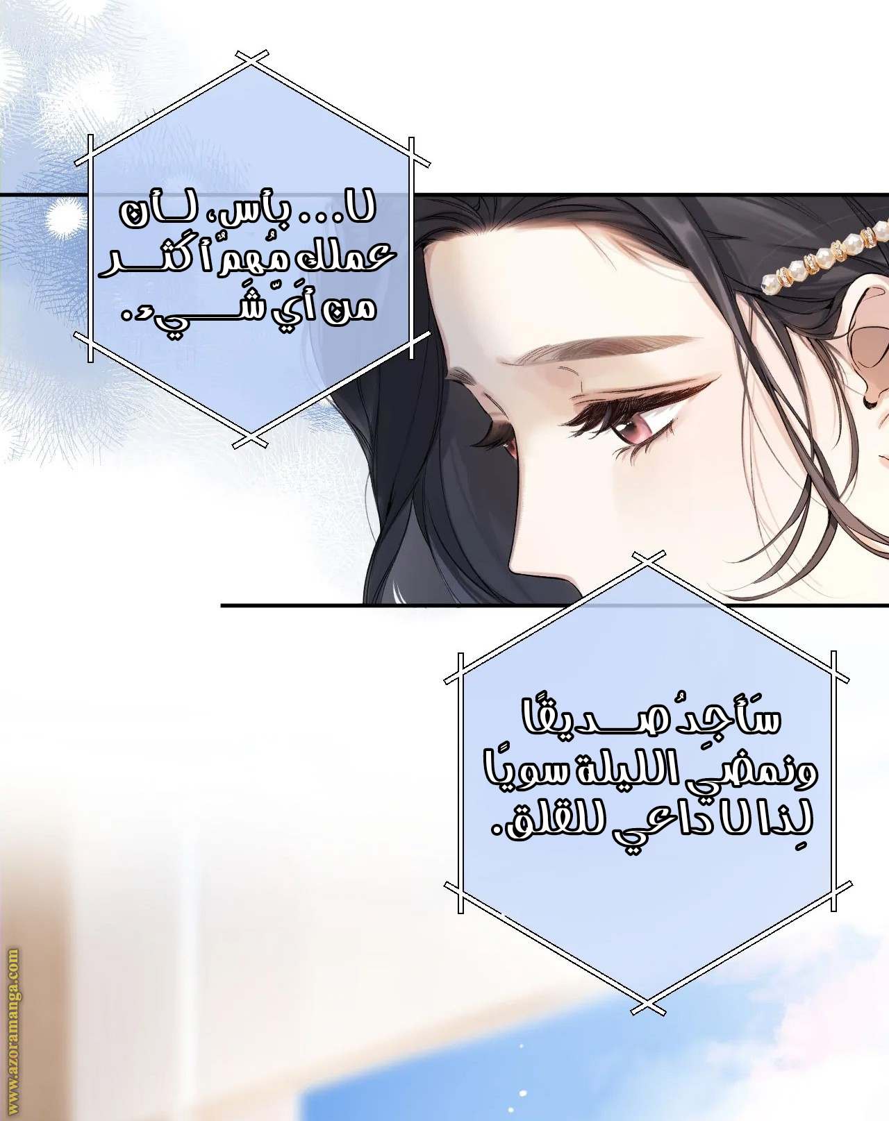 الصفحة 21