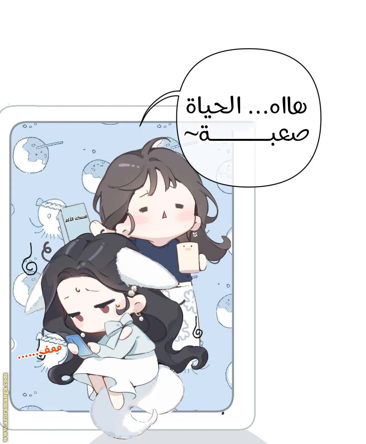 الصفحة 24