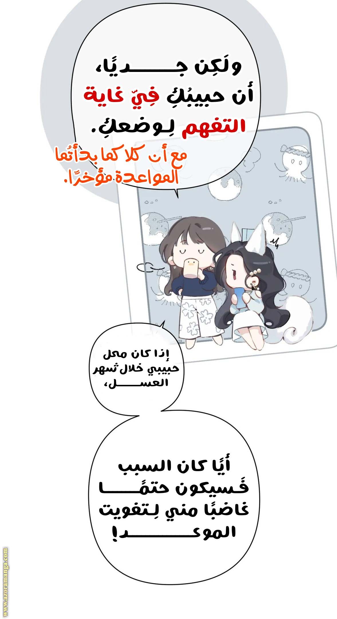 الصفحة 25