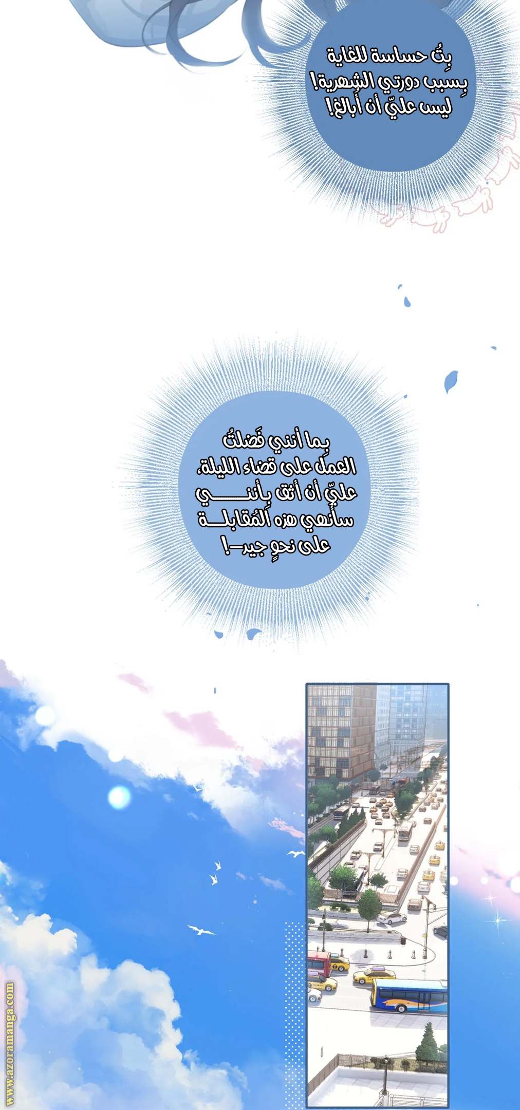 الصفحة 29