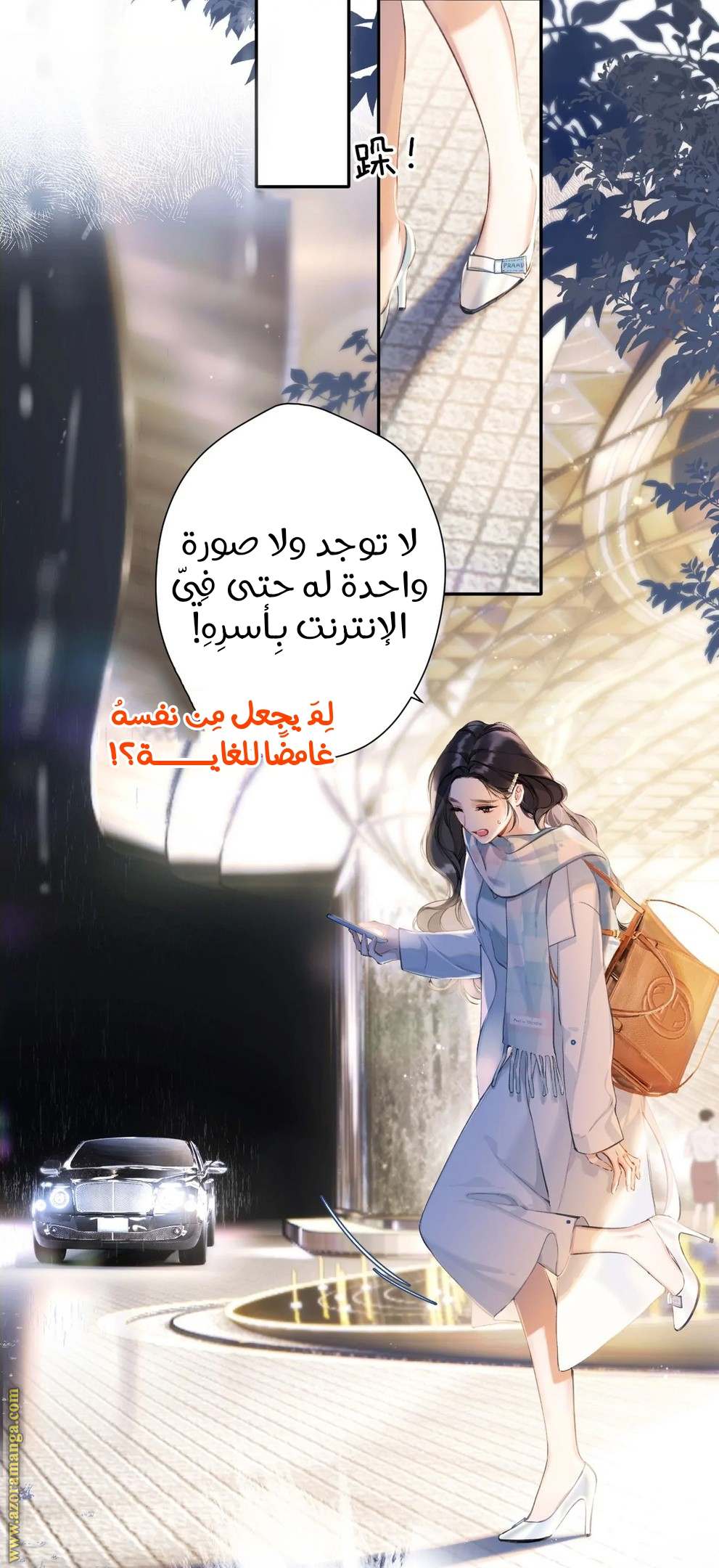 الصفحة 51