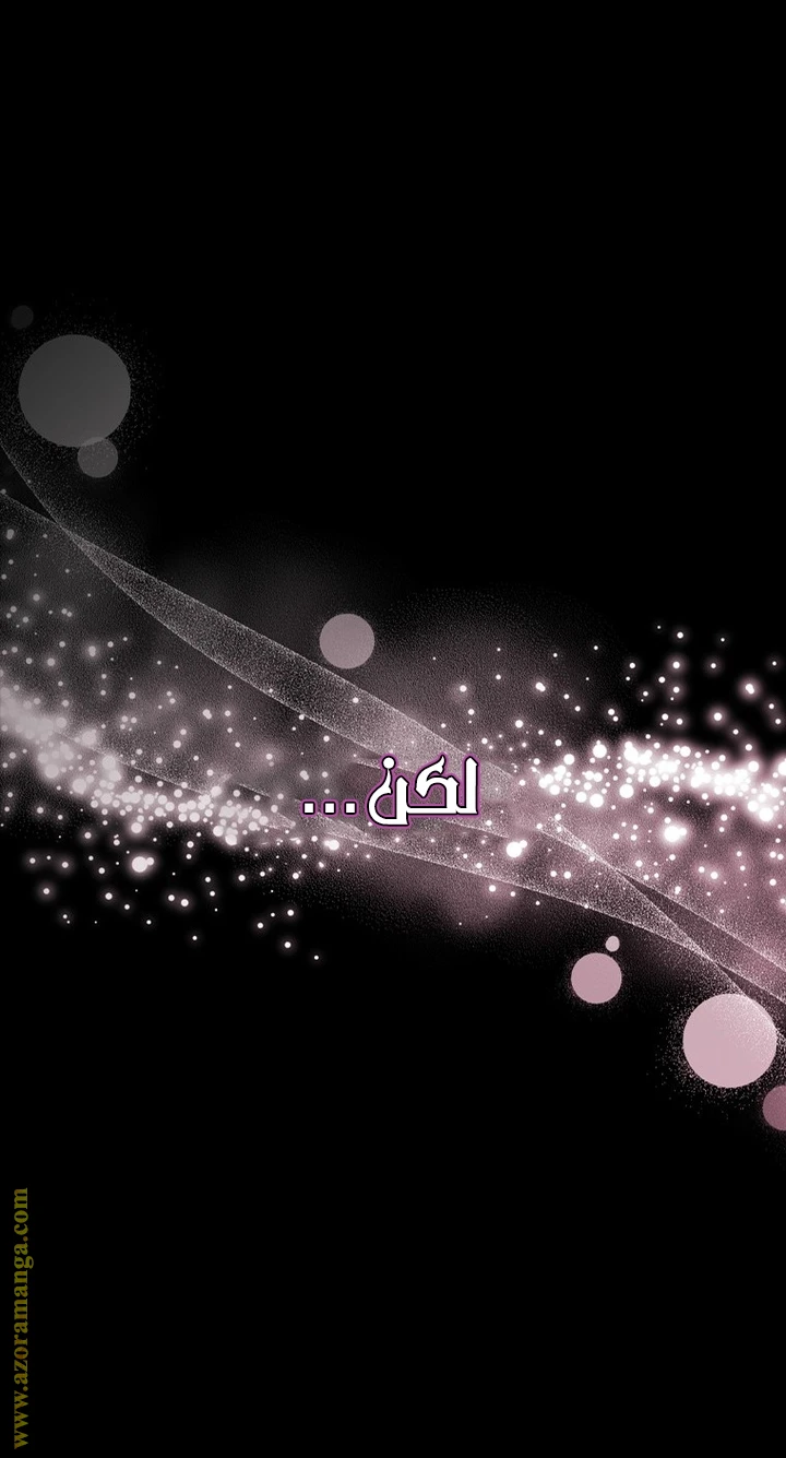 الصفحة 40