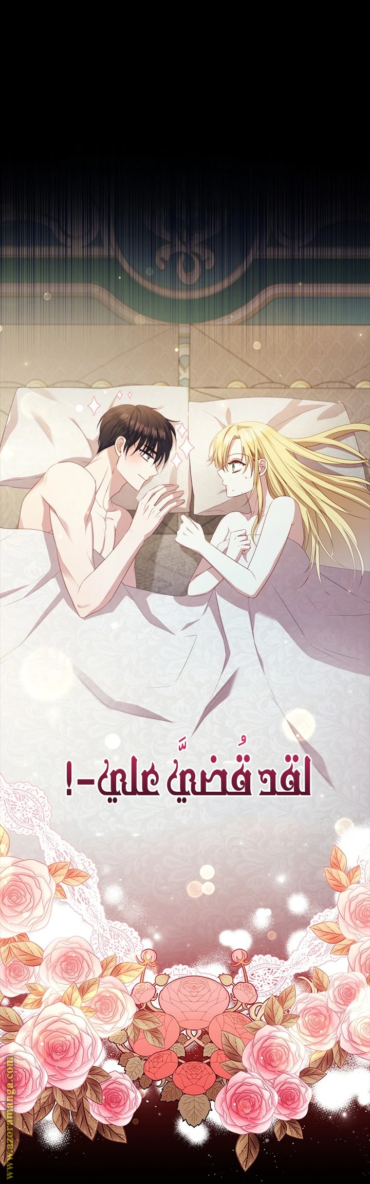 الصفحة 43