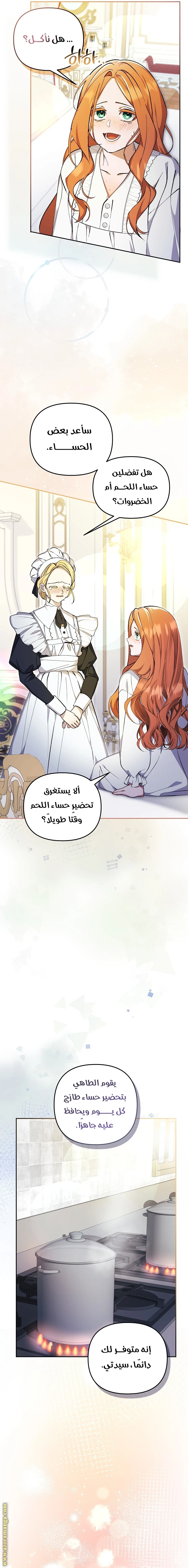 الصفحة 13