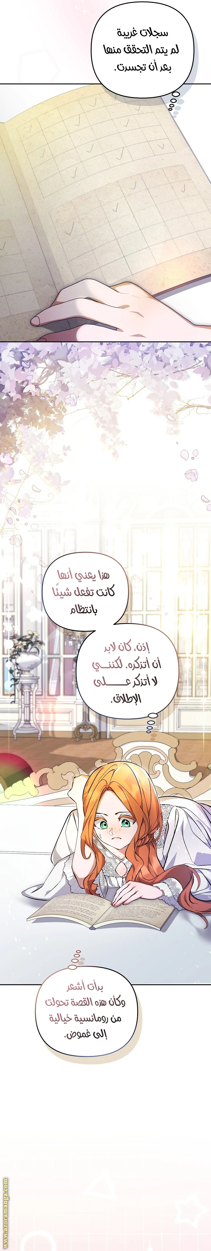 الصفحة 17