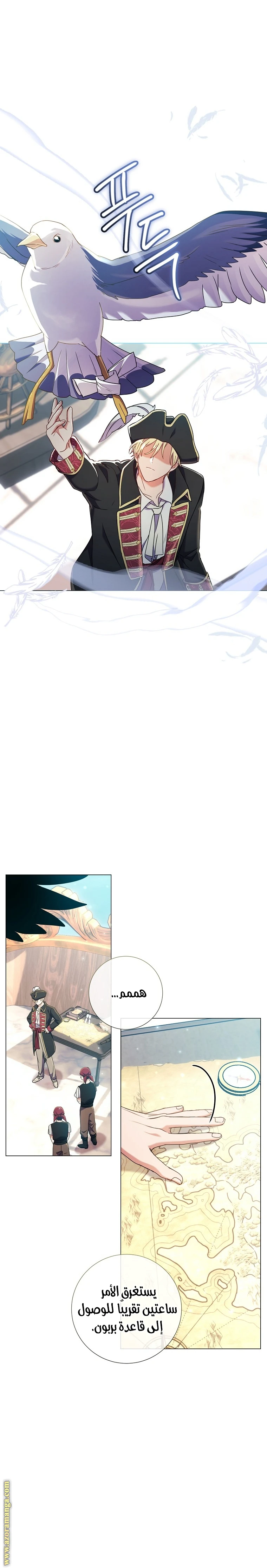 الصفحة 14