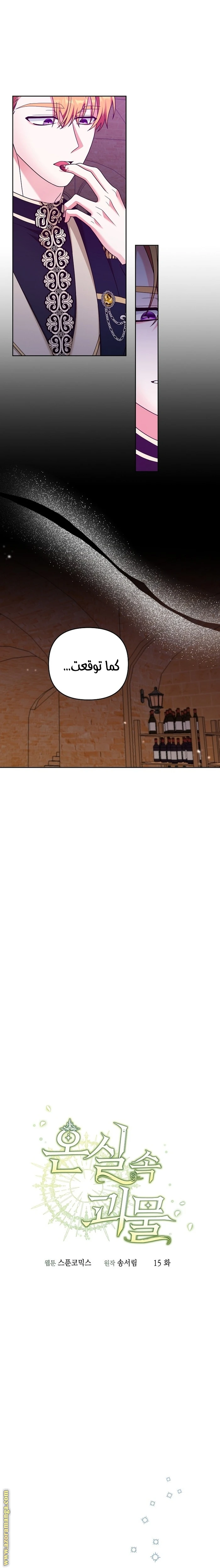 الصفحة 13