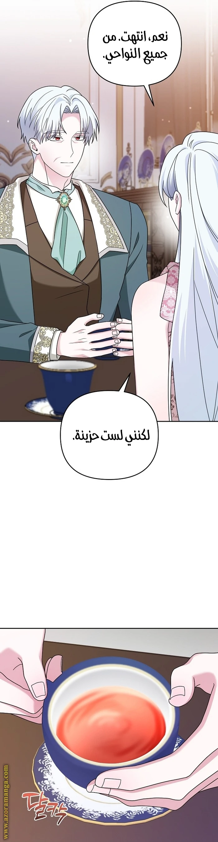 الصفحة 17