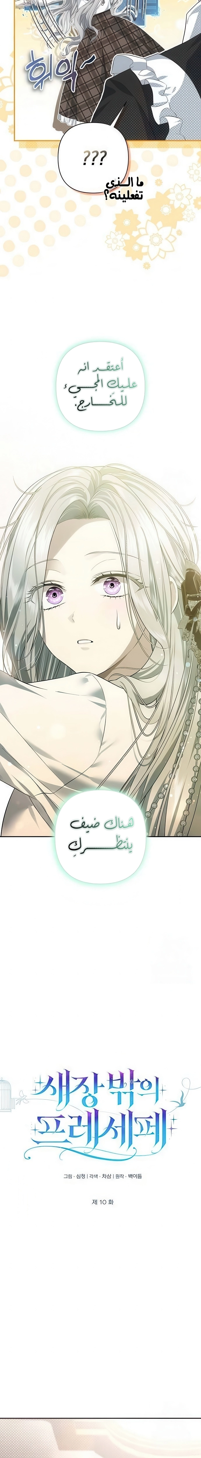 الصفحة 10