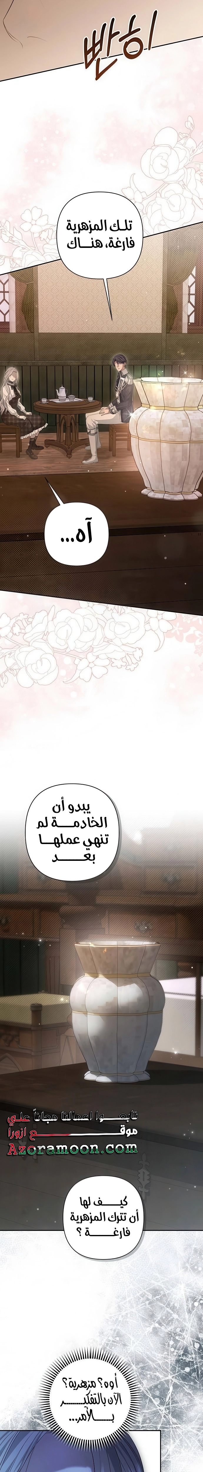 الصفحة 17
