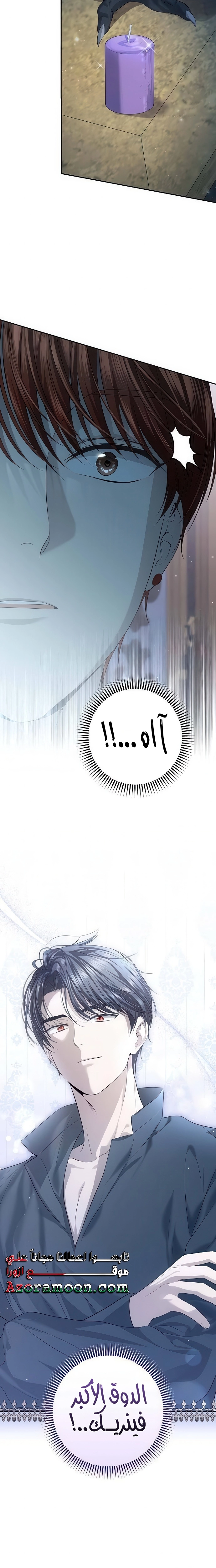 الصفحة 25