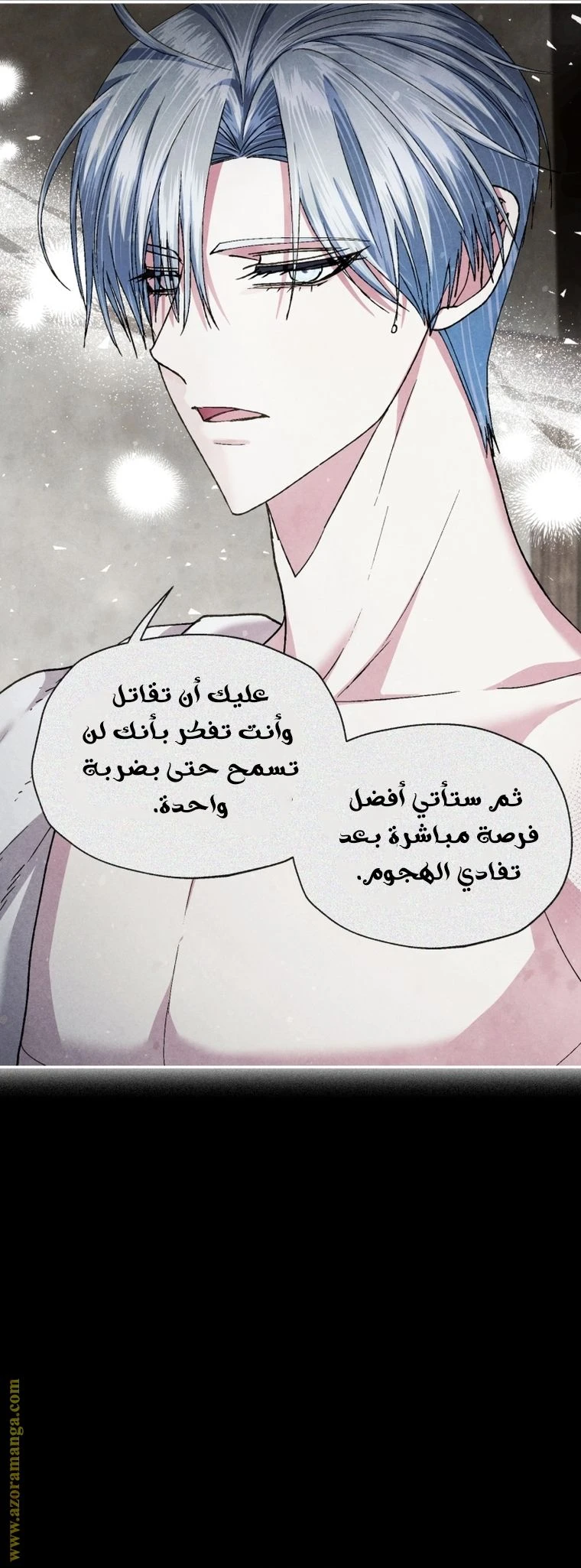 الصفحة 13