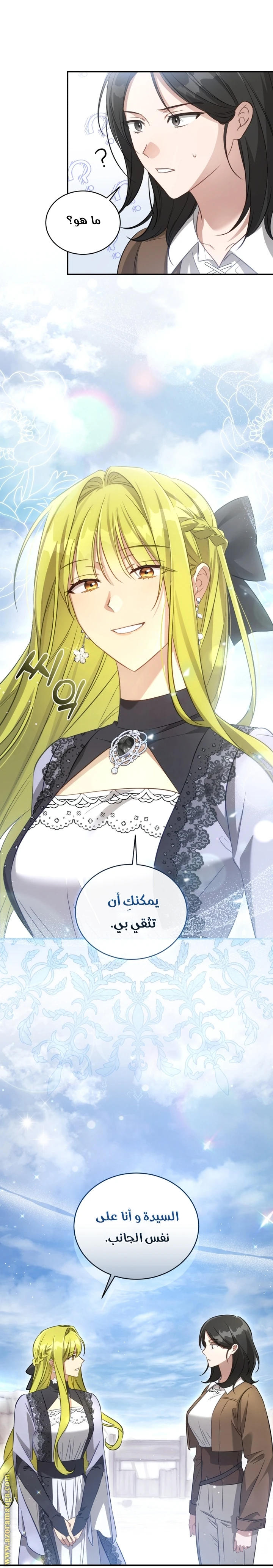 الصفحة 13