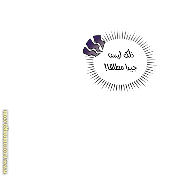 الصفحة 26