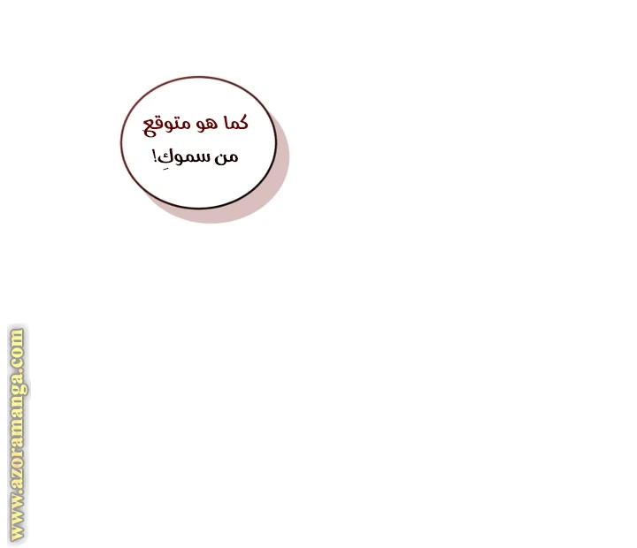 الصفحة 31