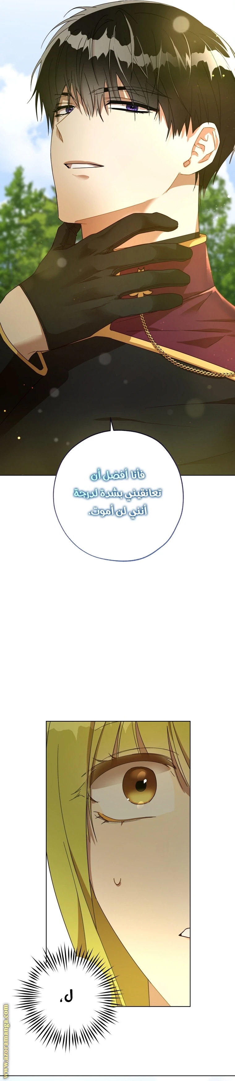 الصفحة 13