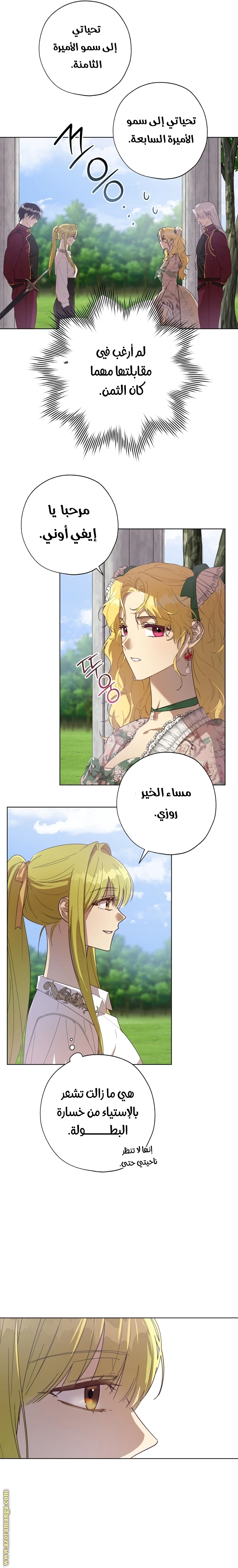 الصفحة 17