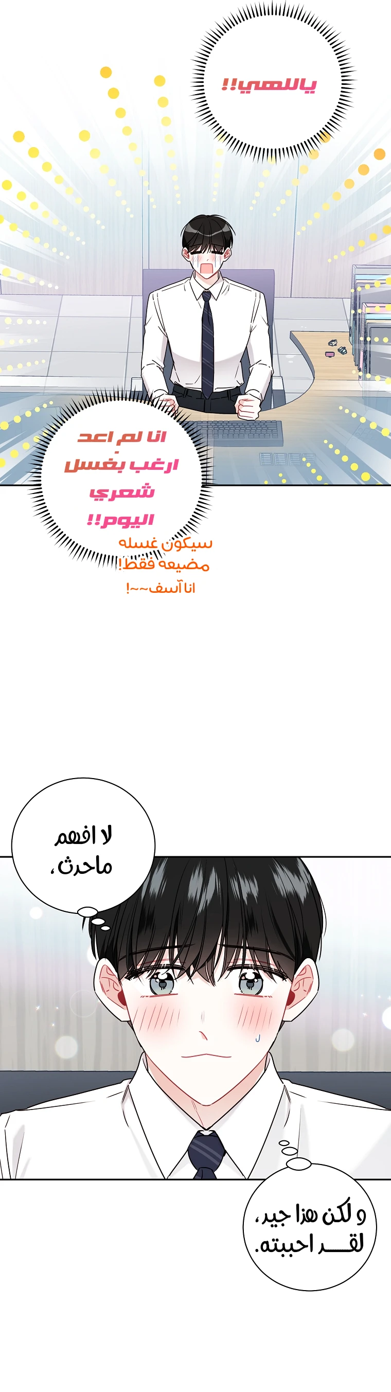 الصفحة 12