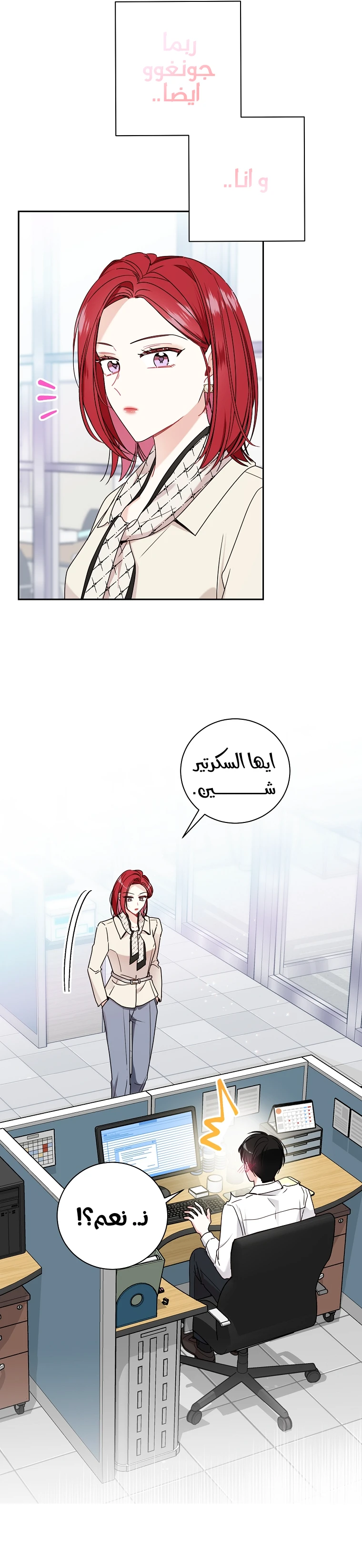 الصفحة 13