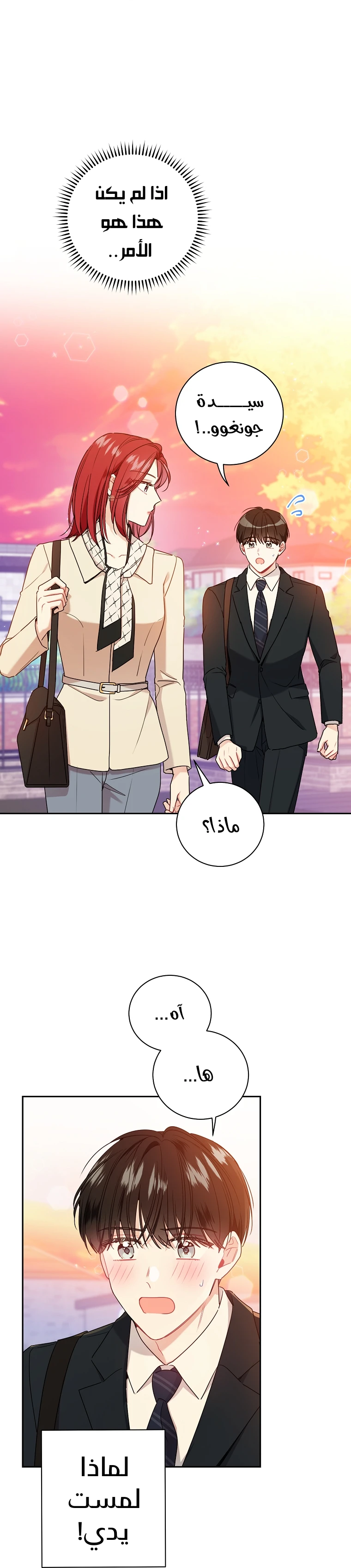 الصفحة 24