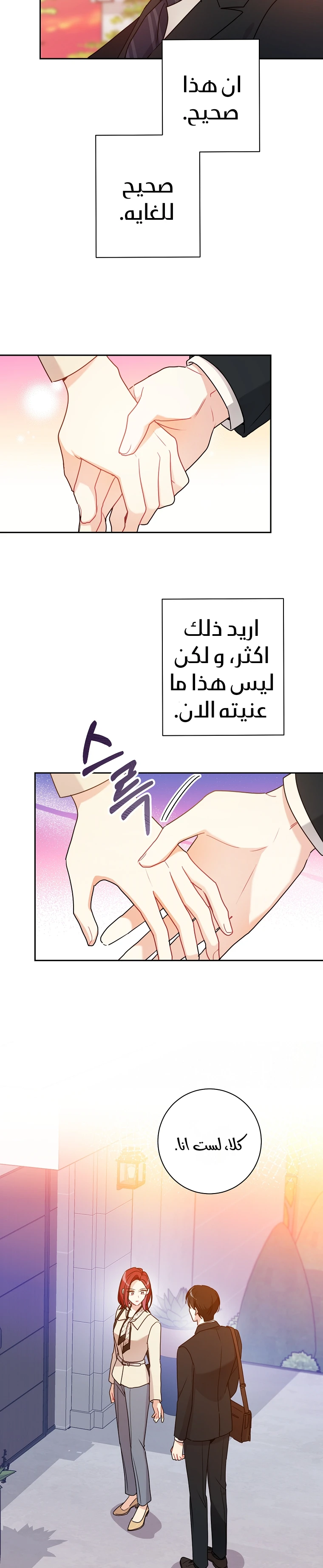 الصفحة 27