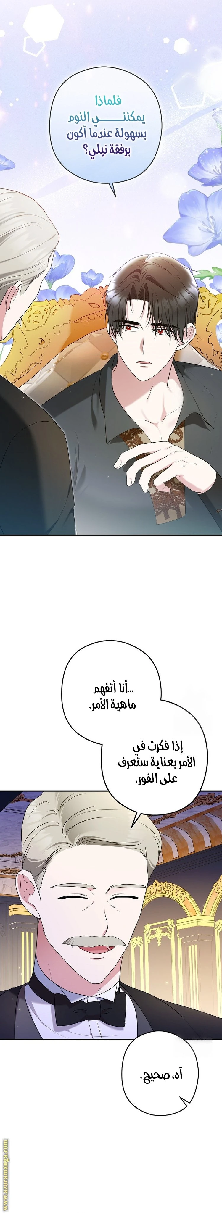 الصفحة 13
