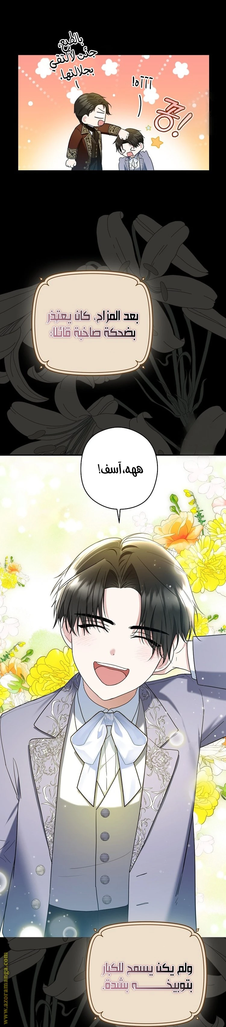 الصفحة 25