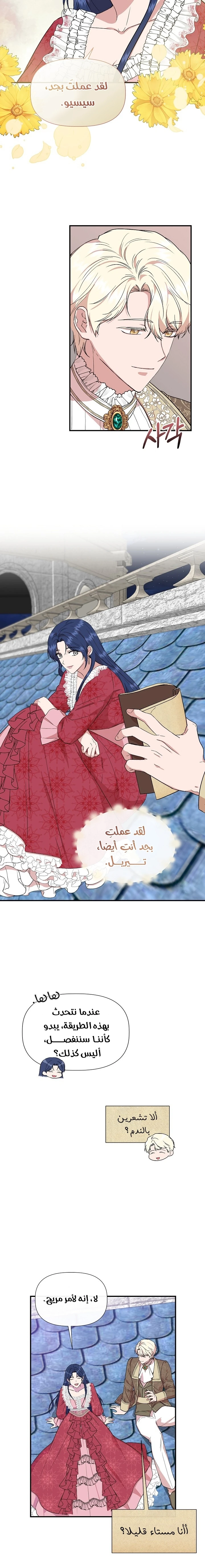الصفحة 13
