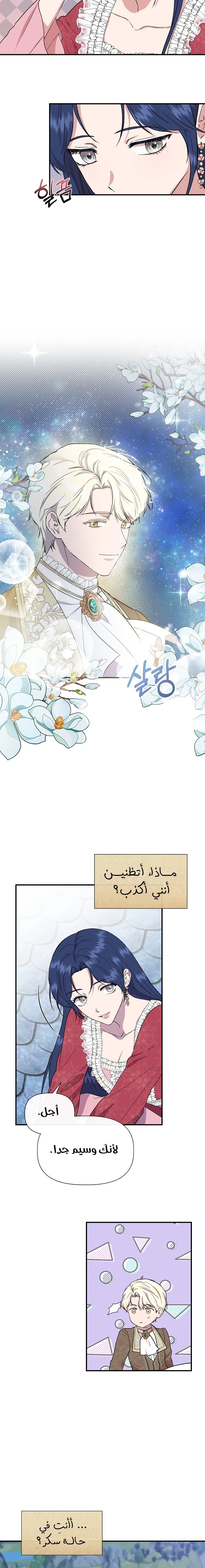 الصفحة 16