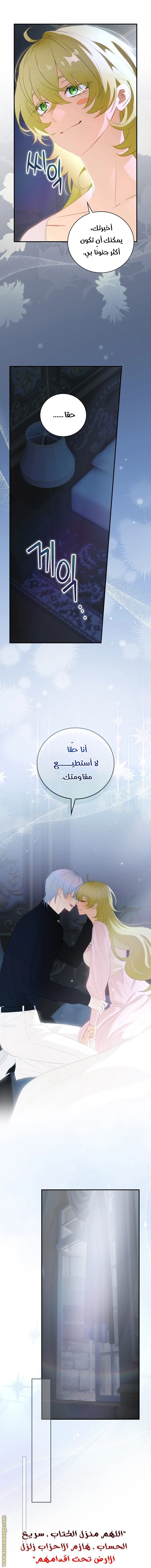 الصفحة 17