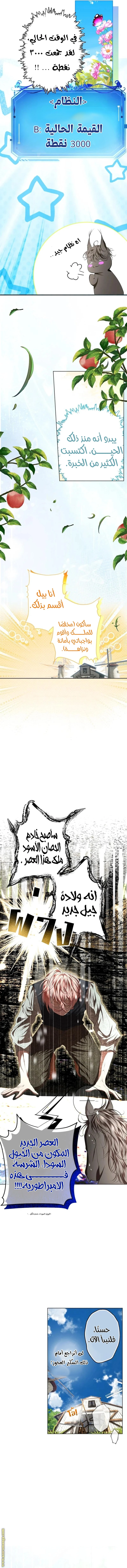 الصفحة 13