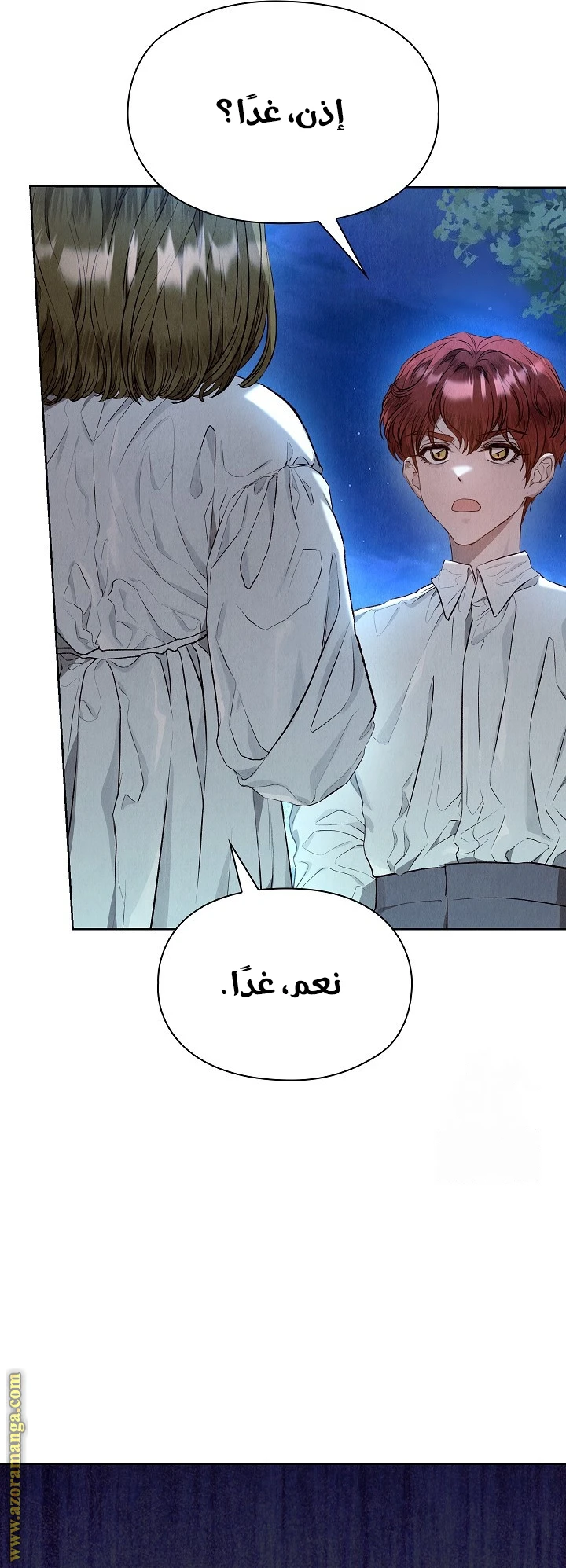 الصفحة 17