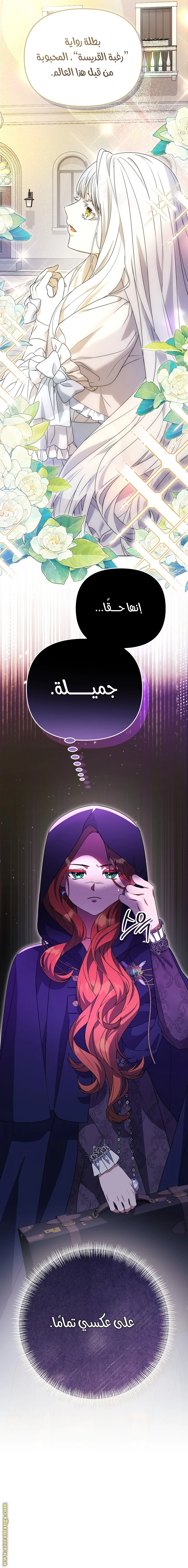 الصفحة 19