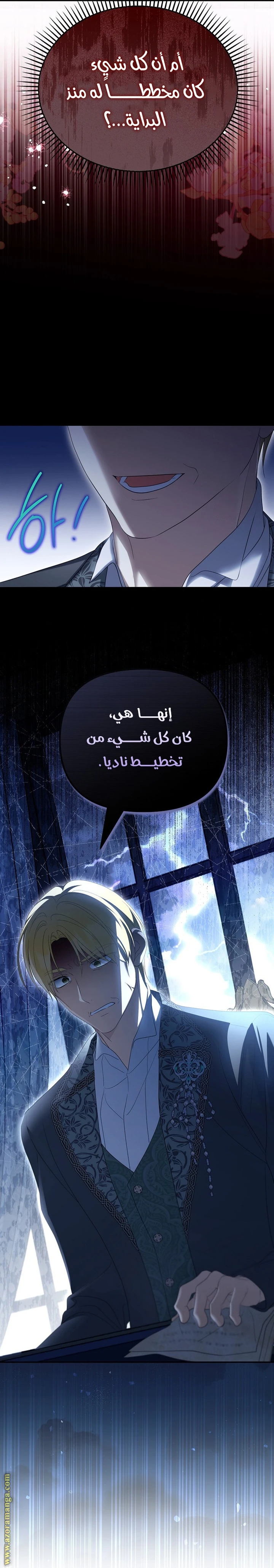 الصفحة 3