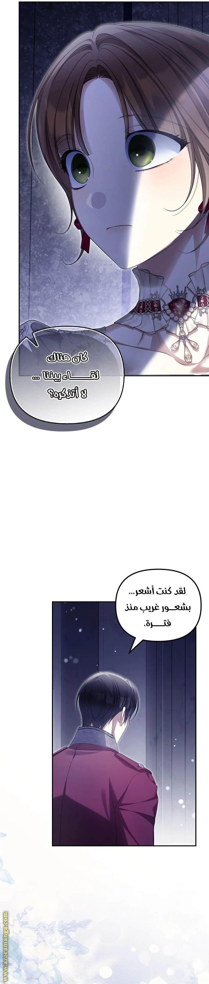الصفحة 21