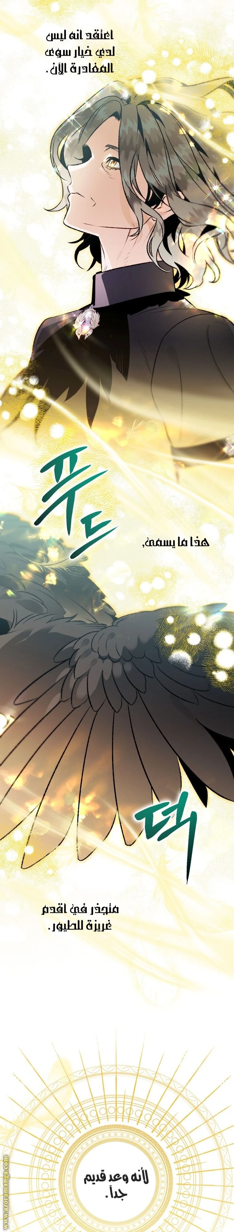 الصفحة 13