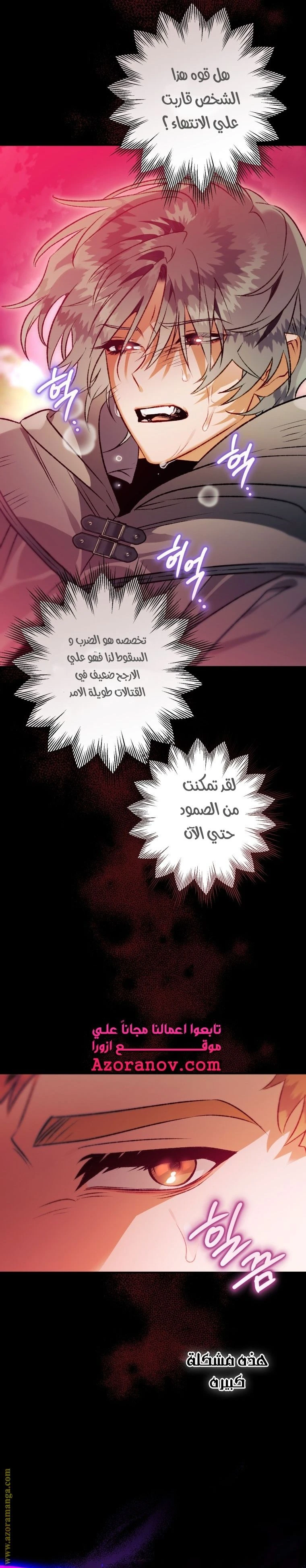 الصفحة 17