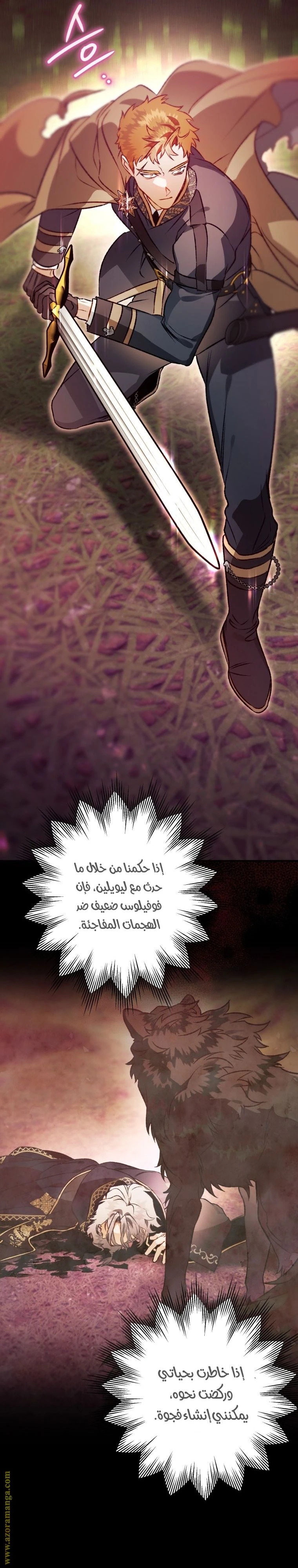 الصفحة 21