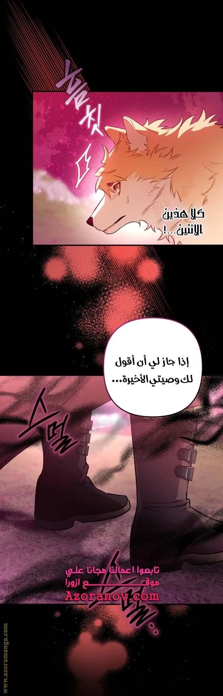الصفحة 25