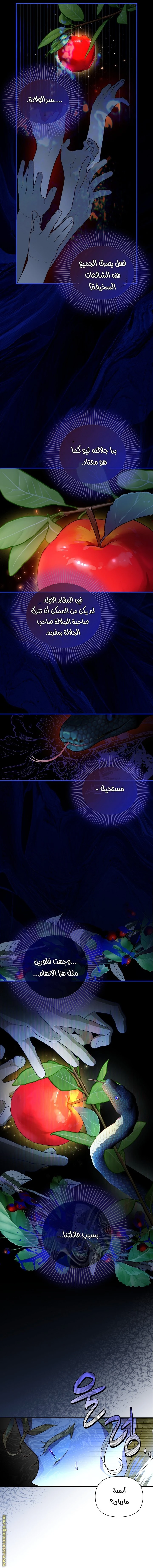 الصفحة 26