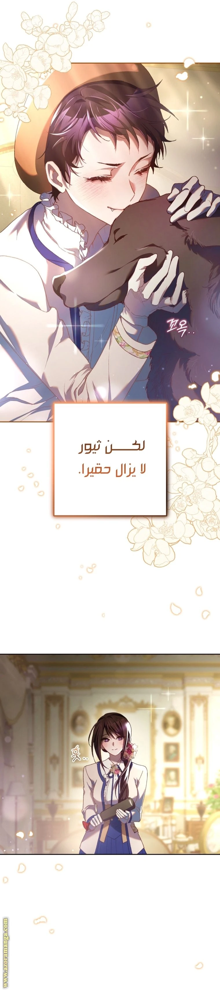 الصفحة 17