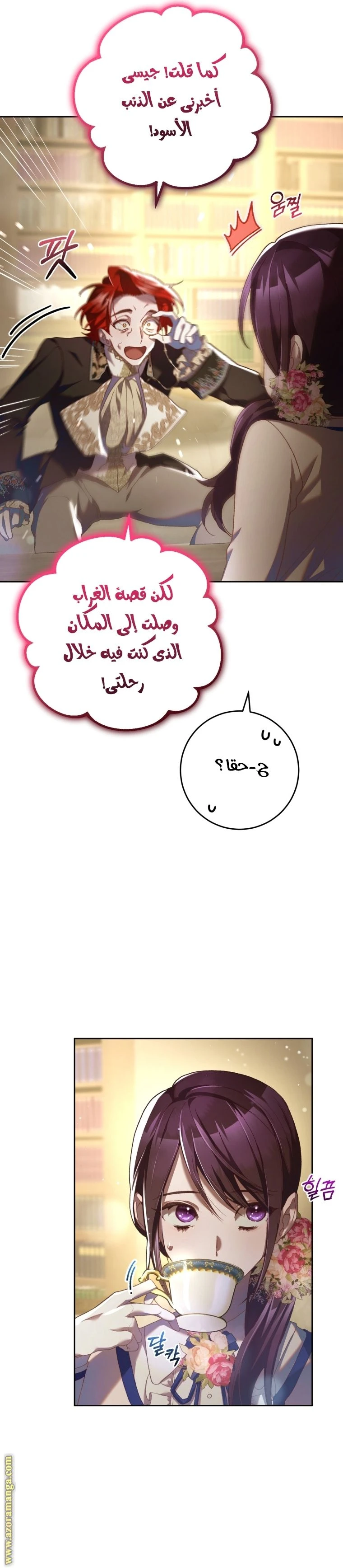 الصفحة 25