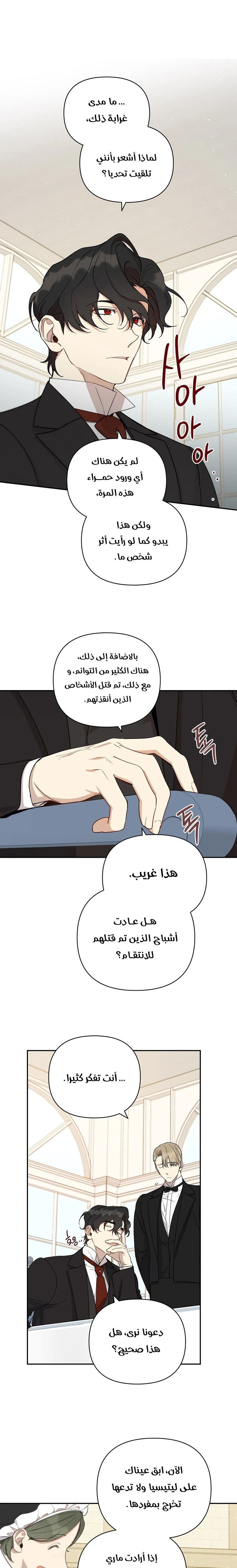 الصفحة 13