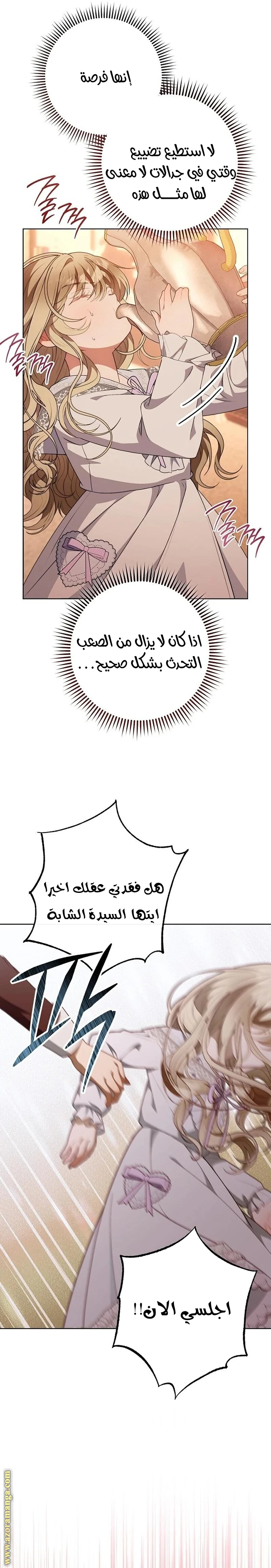 الصفحة 29