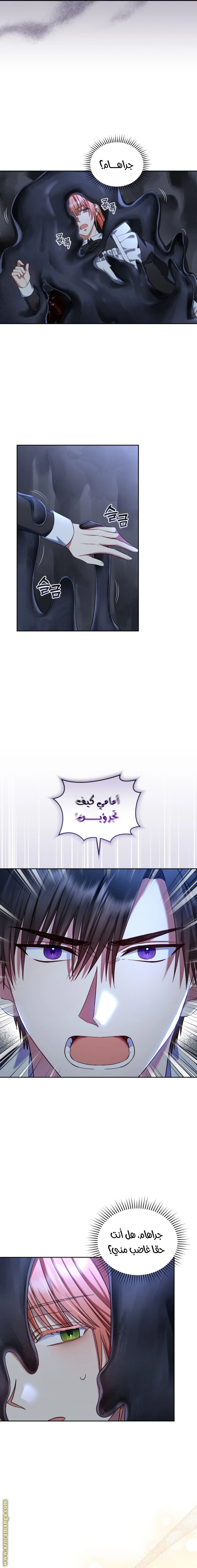 الصفحة 5